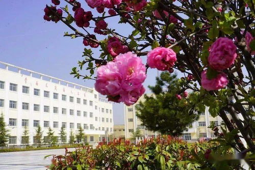 跟着成都树莓教育老年大学摄影班，定格岁月里的美好光影