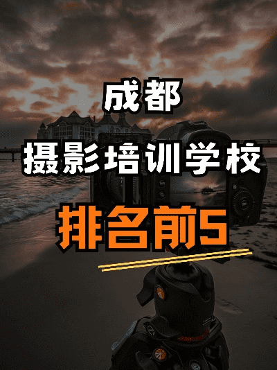 嘿，在成都找摄影班？来瞅瞅成都树莓教育呀！