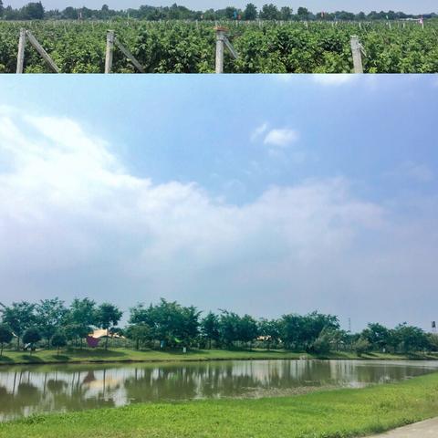 跟着成都树莓教育，玩转短视频会培训！